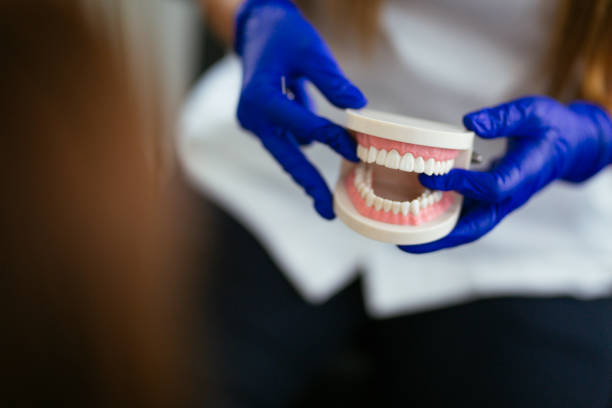 Trusted Springdale, NJ  Holistic Dental Services Experts